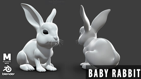 Baby Rabbit  - Topology + UV Map
