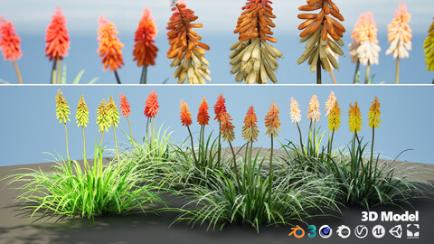 Low Poly Red Hot Poker Striking Flowers with Free Tutorial
