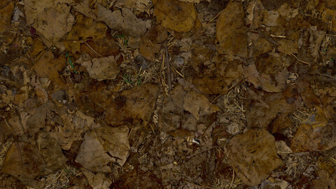 Debris Seamless Texture 2k (2048*2048) | EXR 5 | JPG 5 File Formats All Texture Apply After Object Look Like A 3D. (1K preview image)