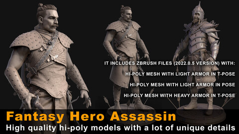 ZBrush Models: Fantasy Hero Assassin - High Poly ZTL