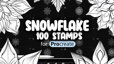 100 Procreate Snowflakes Stamps | Procreate Winter Stamp Brushes | Procreate Xmas Stamp Brushes | Procreate Snow Stamp Brushes | Procreate Christmas Brushes