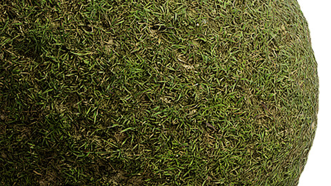 Grass Seamless Texture Patterns 2k (2048*2048) | EXR 5 | JPG 5 File Formats. (1K preview image)