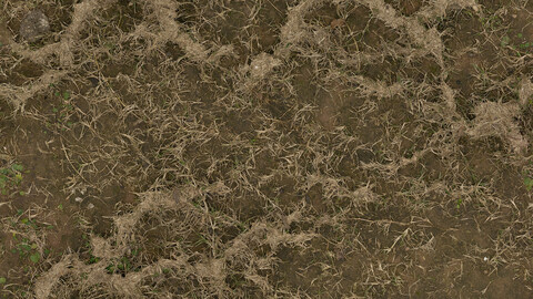 Grass Seamless Texture 2k (2048*2048) | EXR 5 | JPG 5 File Formats All Texture Apply After Object Look Like A 3D. (1K preview image)