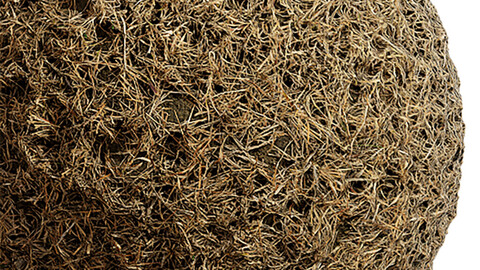 Grass Seamless Texture Patterns 2k (2048*2048) | EXR 5 | JPG 5 File Formats. (1K preview image)