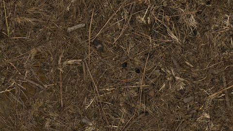 Grass Seamless Texture 2k (2048*2048) | EXR 5 | JPG 5 File Formats All Texture Apply After Object Look Like A 3D. (1K preview image)