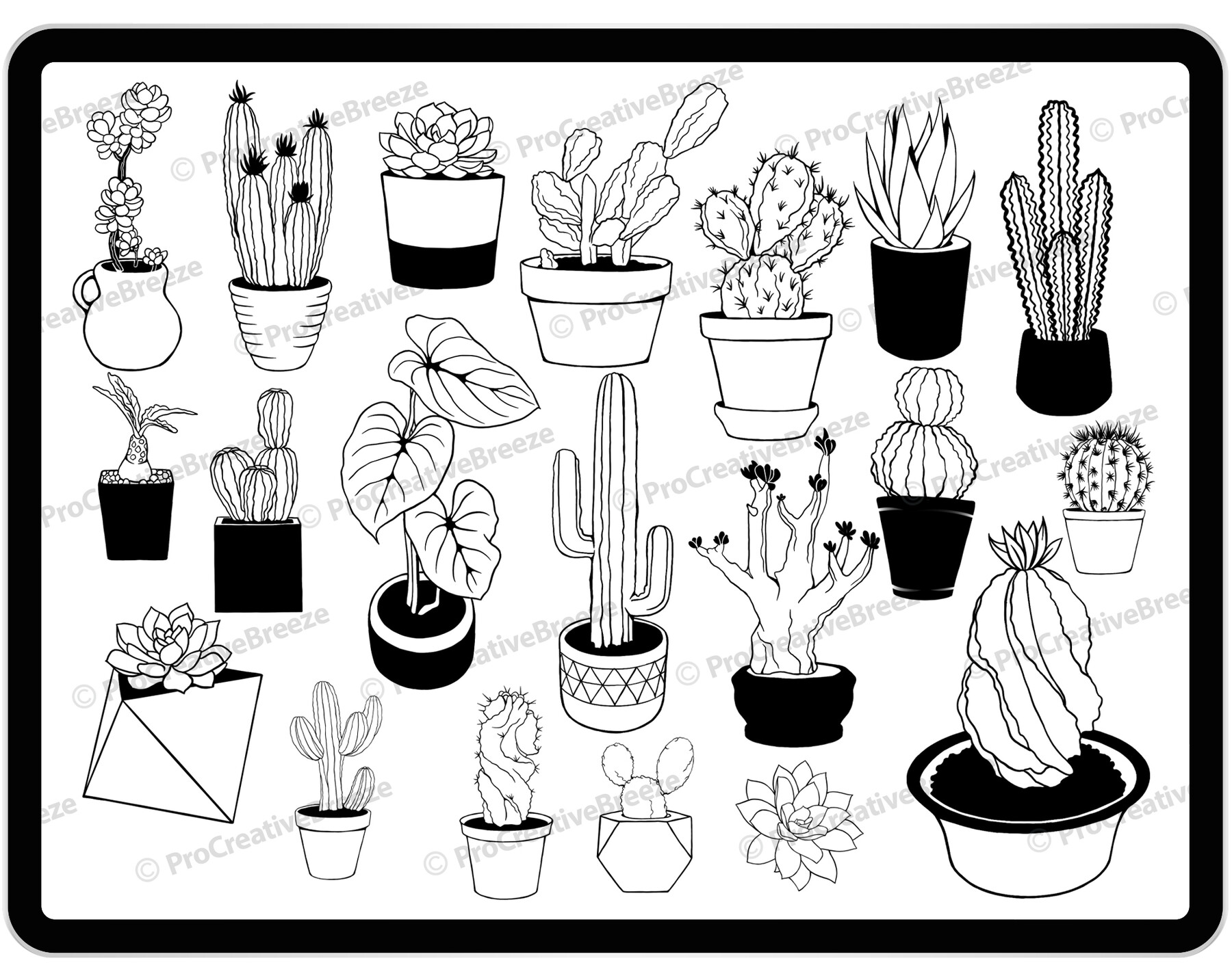 ArtStation - 20 Procreate Cactus Stamp Brushes | Procreate Succulents ...