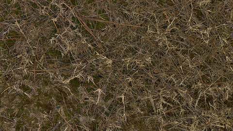 Grass Seamless Texture 2k (2048*2048) | EXR 5 | JPG 5 File Formats All Texture Apply After Object Look Like A 3D. (1K preview image)