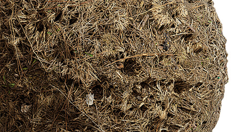 Grass Seamless Texture Patterns 2k (2048*2048) | EXR 5 | JPG 5 File Formats. (1K preview image)