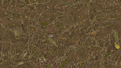 Grass Seamless Texture 2k (2048*2048) | EXR 5 | JPG 5 File Formats All Texture Apply After Object Look Like A 3D. (1K preview image)