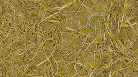 Grass Seamless Texture 2k (2048*2048) | EXR 5 | JPG 5 File Formats All Texture Apply After Object Look Like A 3D. (1K preview image)