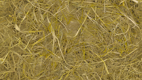 Grass Seamless Texture 2k (2048*2048) | EXR 5 | JPG 5 File Formats All Texture Apply After Object Look Like A 3D. (1K preview image)