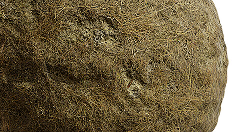 Grass Seamless Texture Patterns 2k (2048*2048) | EXR 5 | JPG 5 File Formats. (1K preview image)