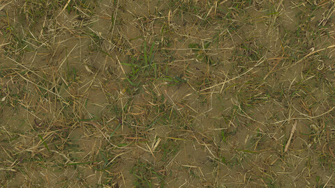 Grass Seamless Texture 2k (2048*2048) | EXR 5 | JPG 5 File Formats All Texture Apply After Object Look Like A 3D. (1K preview image)