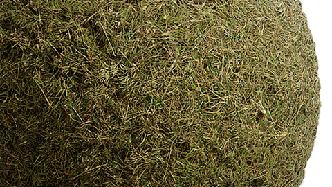 Grass Seamless Texture Patterns 2k (2048*2048) | EXR 5 | JPG 5 File Formats. (1K preview image)