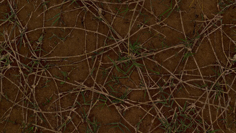 Grass Seamless Texture 2k (2048*2048) | EXR 5 | JPG 5 File Formats All Texture Apply After Object Look Like A 3D. (1K preview image)