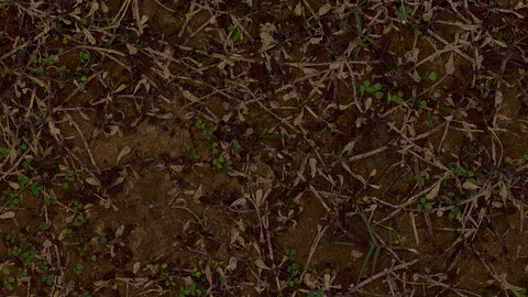 Grass Seamless Texture 2k (2048*2048) | EXR 5 | JPG 5 File Formats All Texture Apply After Object Look Like A 3D. (1K preview image)