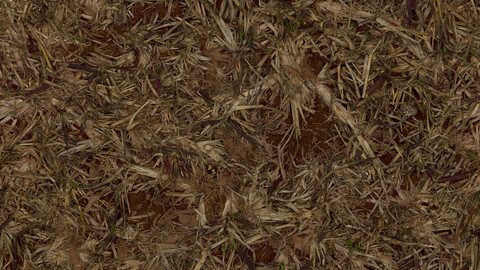 Grass Seamless Texture 2k (2048*2048) | EXR 5 | JPG 5 File Formats All Texture Apply After Object Look Like A 3D. (1K preview image)