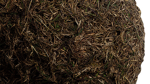 Grass Seamless Texture Patterns 2k (2048*2048) | EXR 5 | JPG 5 File Formats. (1K preview image)