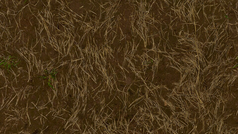 Grass Seamless Texture 2k (2048*2048) | EXR 5 | JPG 5 File Formats All Texture Apply After Object Look Like A 3D. (1K preview image)