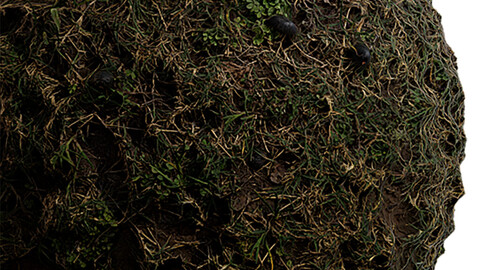 Grass Seamless Texture Patterns 2k (2048*2048) | EXR 5 | JPG 5 File Formats. (1K preview image)