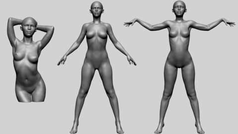 Female Poses