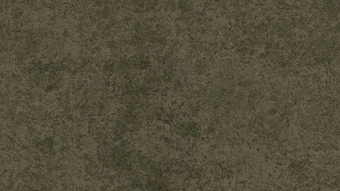 Grass Seamless Texture 2k (2048*2048) | EXR 5 | JPG 5 File Formats All Texture Apply After Object Look Like A 3D. (1K preview image)