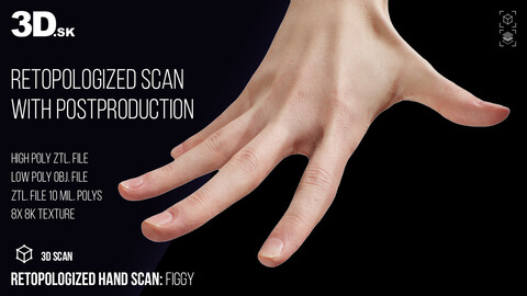 Retopologized Hand Scan | 3D Model Figgy