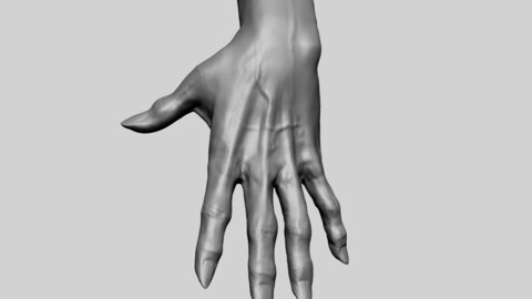 Creature Hand B