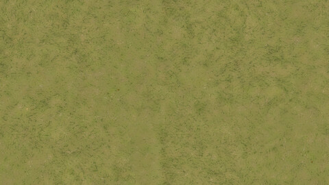 Grass Seamless Texture 2k (2048*2048) | EXR 5 | JPG 5 File Formats All Texture Apply After Object Look Like A 3D. (1K preview image)