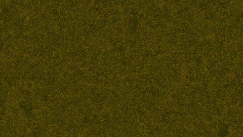 Grass Seamless Texture 2k (2048*2048) | EXR 5 | JPG 5 File Formats All Texture Apply After Object Look Like A 3D. (1K preview image)