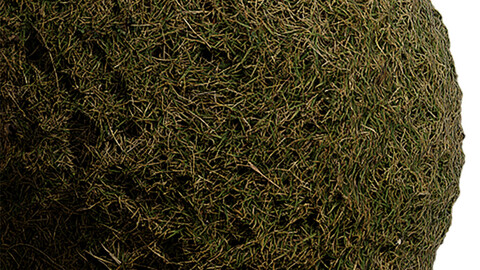 Grass Seamless Texture Patterns 2k (2048*2048) | EXR 5 | JPG 5 File Formats. (1K preview image)