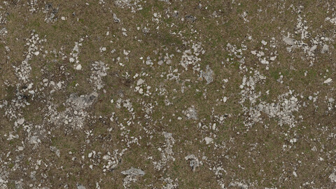 Grass Seamless Texture 2k (2048*2048) | EXR 5 | JPG 5 File Formats All Texture Apply After Object Look Like A 3D. (1K preview image)