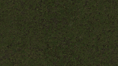 Grass Seamless Texture 2k (2048*2048) | EXR 5 | JPG 5 File Formats All Texture Apply After Object Look Like A 3D. (1K preview image)