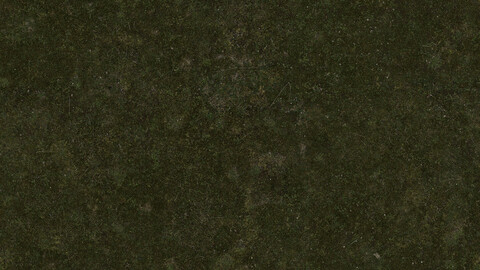 Grass Seamless Texture 2k (2048*2048) | EXR 5 | JPG 5 File Formats All Texture Apply After Object Look Like A 3D. (1K preview image)