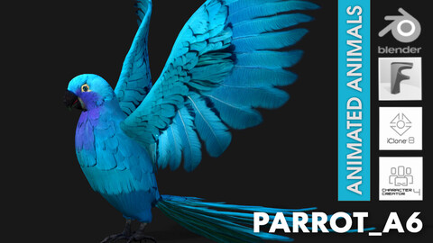 Parrot_A6