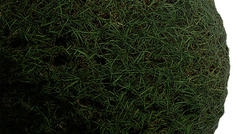 Grass Seamless Texture Patterns 2k (2048*2048) | EXR 5 | JPG 5 File Formats. (1K preview image)