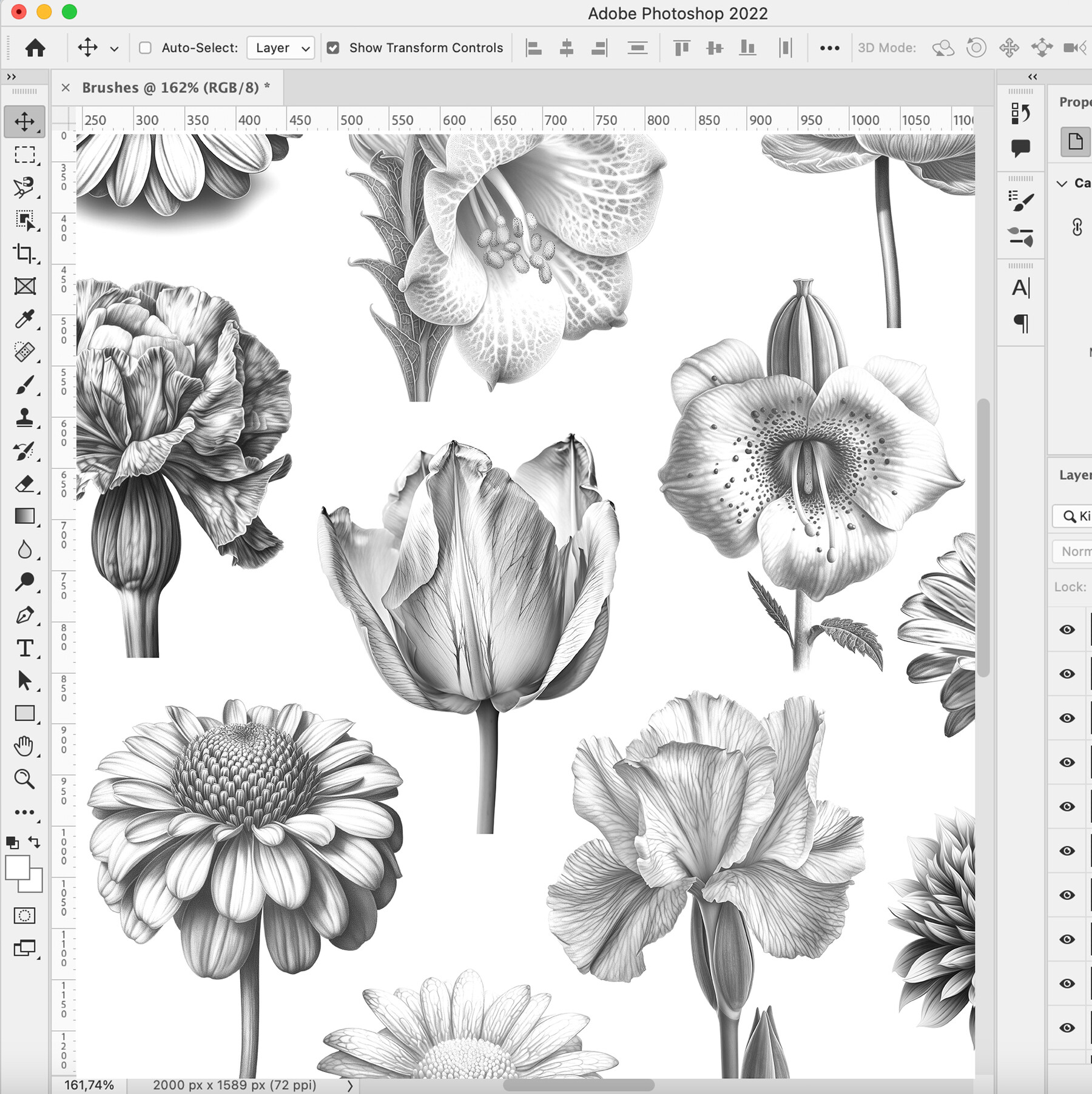 ArtStation - 50 Flowers Procreate Brushes | Flowers Photoshop Brushes ...