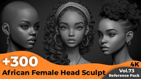 +300 African Female Head Sculpt Reference(4k)