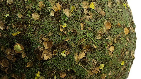 Grass Seamless Texture Patterns 2k (2048*2048) | EXR 5 | JPG 5 File Formats. (1K preview image)