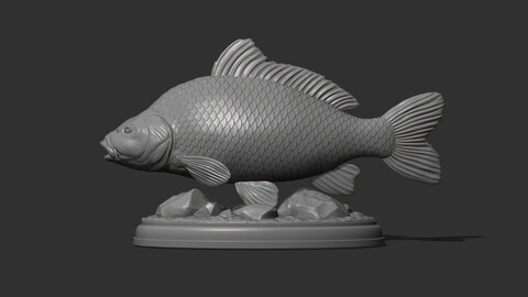 Carp fish on the base