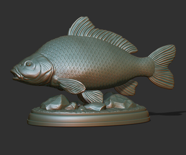 ArtStation - Carp fish on the base | Resources