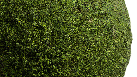 Grass Seamless Texture Patterns 2k (2048*2048) | EXR 5 | JPG 5 File Formats. (1K preview image)