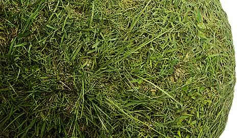 Grass Seamless Texture Patterns 2k (2048*2048) | EXR 5 | JPG 5 File Formats. (1K preview image)