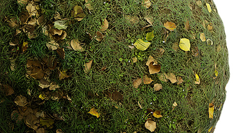 Grass Seamless Texture Patterns 2k (2048*2048) | EXR 5 | JPG 5 File Formats. (1K preview image)