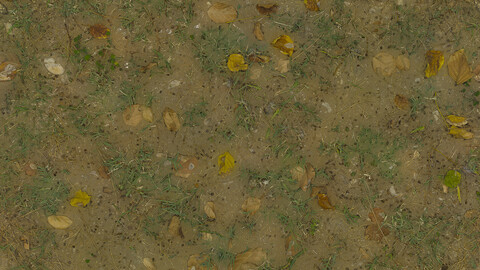 Grass Seamless Texture 2k (2048*2048) | EXR 5 | JPG 5 File Formats All Texture Apply After Object Look Like A 3D. (1K preview image)