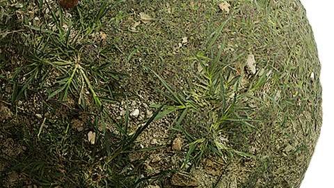 Grass Seamless Texture Patterns 2k (2048*2048) | EXR 5 | JPG 5 File Formats. (1K preview image)