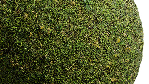 Grass Seamless Texture Patterns 2k (2048*2048) | EXR 5 | JPG 5 File Formats. (1K preview image)