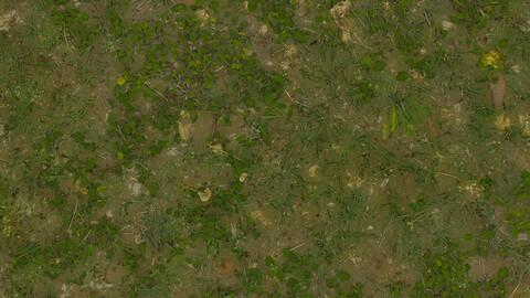 Grass Seamless Texture 2k (2048*2048) | EXR 5 | JPG 5 File Formats All Texture Apply After Object Look Like A 3D. (1K preview image)