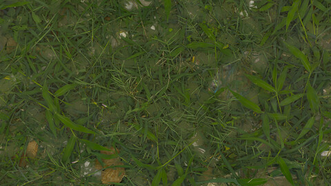 Grass Seamless Texture 2k (2048*2048) | EXR 5 | JPG 5 File Formats All Texture Apply After Object Look Like A 3D. (1K preview image)