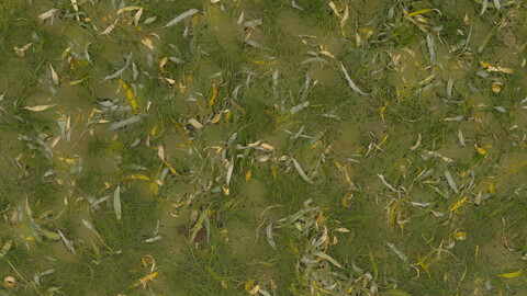 Grass Seamless Texture 2k (2048*2048) | EXR 5 | JPG 5 File Formats All Texture Apply After Object Look Like A 3D. (1K preview image)